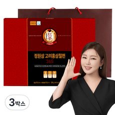 정원삼 고려홍삼절편365 + 쇼핑백, 10회분, 20g, 3박스 상세 이미지