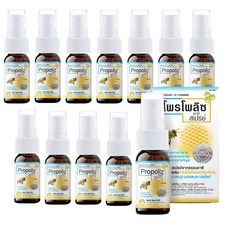 태국 프로폴리스 PROPOLIZ Mouth Spray마우스 스프레이 (오리지널) 15ml 태국에서 난리난 제품!!, 12개 상세 이미지