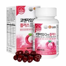 일양약품 코엔자임Q10 플러스 3개월분, 90정, 2개 상세 이미지