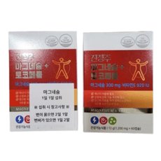 진정주 마그네슘 토코페롤 3박스(1200mg x 60캡슐), 2박스, 30회분 상품 이미지