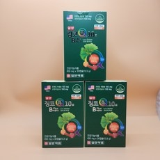 일양 징코큐텐 비플러스 30캡슐, 30정, 3개 상세 이미지