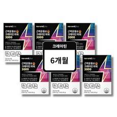 운동보조제 독일크레아틴 Creatine Monohydrate 헬스보조제 크레아틴 크레아티, 6세트, 30회분