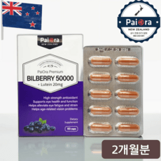 파이오라 뉴질랜드 고함량 유기농 빌베리 50000mg 60캡슐 추출물 루테인 안토시아닌 눈 건조 건강, 단품, 1개, 60정 이미지