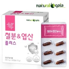 철분앤엽산플러스 철분제 철분영양제 비헴철, 1개, 60정 상세 이미지