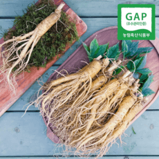 풍기인삼 사포닌 면역력 기력회복 인삼 수삼 5년근 6년근 500g 8-10편 11-15편, 1개, 풍기 햇수삼 500g 8-10편(팩) 상세 이미지