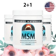 소스내추럴스 MSM 식이유황 파우더 분말 2400mg 453g 3병, 3개 상세 이미지