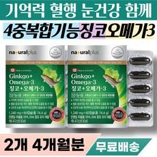 기억력 뇌 건강 혈행 혈관 혈류 순환제 징코 오메가3 어르신 노인 손 발 저릴때 몸이 찰때 손끝 발끝 냉증 손바닥 발바닥 저림 순환 개선제 영양제 오메가 3리 진코 은행옆 은행잎, 60정, 2개 이미지