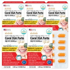코랄 이가 포르테 골드 60정x5통 치아 코랄 칼슘 프로폴리스 식물스테롤 콜라겐, 5개, 60정 상세 이미지