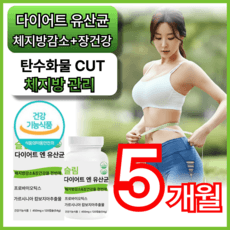 다이어트유산균 슬림다이어트 모유유래 유산균 식약처인증 다이어트 유산균 락토바실러스 가세리 가르시니아 휘게라이프 급찐급빠 홈쇼핑, 5개, 120정 상세 이미지
