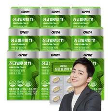 GNM 징코빌로바11 / 은행잎추출물 비타민B 아연 판토텐산, 30정, 9개