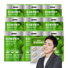 GNM 징코빌로바11 / 은행잎추출물 비타민B 아연 판토텐산, 30정, 9개 상세 이미지