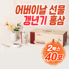 어버이날 부모님선물 면역력강화 홍삼 갱년기 보조제 진세노사이드 RG1 RB1 RG3 식약처인증 GMP 영양제 엄마 할머니 생신 효도 선물 세트 스승의날 여자 여성