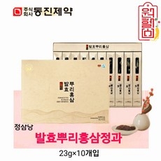 동진제약 발효 뿌리 홍삼정과 23g*10개입 한뿌리씩낱개포장 발효홍삼농축액. 동진 홍삼정과 6년홍삼정과 국산 4시이전 결제시 당일발송, 230g, 1개 상세 이미지