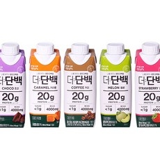 빙그레 더단백 5종 드링크 초코6 커피3 카라멜3 딸기3 메론3, 250ml 상세 이미지