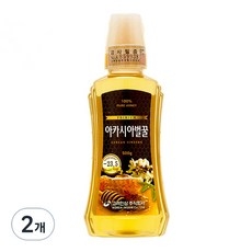 고려인삼 아카시아 벌꿀, 500g, 2개 상세 이미지