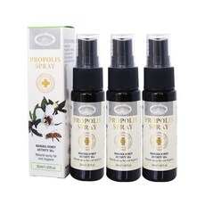 호주 네이쳐스탑 프로폴리스 스프레이 35mlx3 마누카꿀 30+, 3개, 35ml 상세 이미지