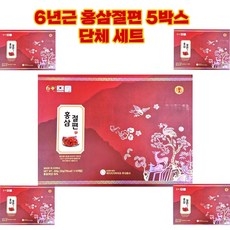 6년근 홍삼절편 에이치지바이오(주)20g 10개(1박스내), 200g, 5개 상세 이미지