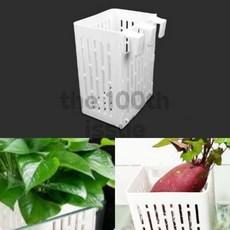 백일호 걸이식 수경재배 화분 통, 1개 이미지