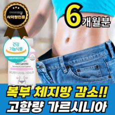 가르시니아 캄보지아 다이어트보조제 체지방 감소 알약 HCA 750mg 판토텐산 복부지방 내장지방, 60정, 6박스