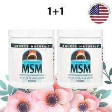 소스내추럴스 MSM 식이유황 파우더 분말 2400mg 453g 2병, 2개 상세 이미지