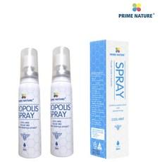 호주 프라임네이처 직수입 호주산 프로폴리스 원액 스프레이 30ml 목 관리, 2개 상품 이미지