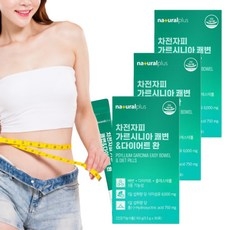 종아리관리 쾌변다이어트 신부관리추천 몸매관리 차전자피가르시니아30포x3, 3개 상세 이미지