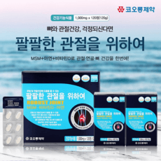 팔팔한 관절을 위하여 120정(60일분)/ MSM 비타민D 아연 무릎 연골, 2박스, 60회분 상세 이미지