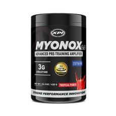 헬스부스터 근육펌핑 XPI마이오녹스 딸기레몬에이드맛, 435g, 1개 상품 이미지
