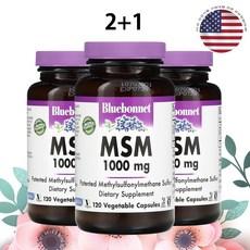 블루보넷 MSM 식이유황 1000mg 120캡슐 3개 상품 이미지