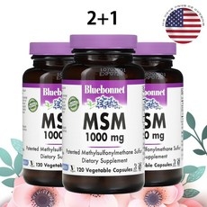 블루보넷 MSM 식이유황 1000mg 120캡슐 3개 상세 이미지