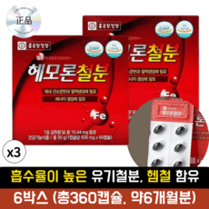 HnF 종근당 헤모론 철분 GMP 온가족 철분제 흡수율높은 유기철분 헴철 함유, 6박스, 120정 상세 이미지