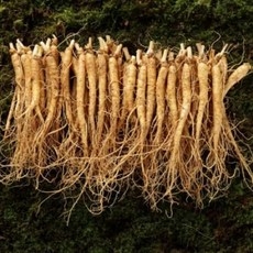 금산 인삼 세척 소 삼계 (500g/30~40뿌리/5~6년근) 상세 이미지