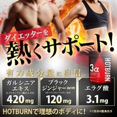 분 180정 HOTBURN 사프리 다이어터 3.1mg 엘라그산 120mg 블랙 진저 420mg 가르시니아 핫번, 1개, 1g