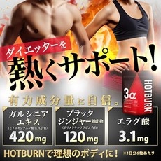 분 180정 HOTBURN 사프리 다이어터 3.1mg 엘라그산 120mg 블랙 진저 420mg 가르시니아 핫번, 1개, 1g 상세 이미지