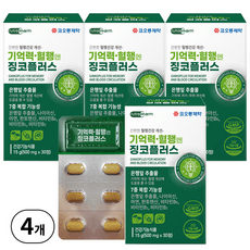 코오롱제약 기억력 혈행엔 징코 플러스, 30정, 4개 상세 이미지