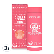 을지대학교 탄수화물 컷 가르시니아 다이어트6 플러스 114g, 120정, 3개 상세 이미지