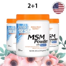 닥터스베스트 MSM 직구 식이유황 파우더 분말 3000mg 250g 3병, 3개 상세 이미지