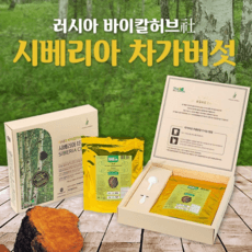시베리아 차가버섯 최고등급 추출 분말 바이칼허브사 프리미엄 진품 바이칼라이프, 1개, 100g