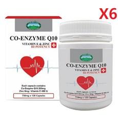 호주 네이쳐스탑 코엔자임 Q10 750mg (비타민E 아연) 120정-6개, 6개, 120정 상품 이미지