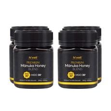 하이웰 프리미엄 마누카 꿀 블렌드 MGO30+, 250g, 4개 이미지