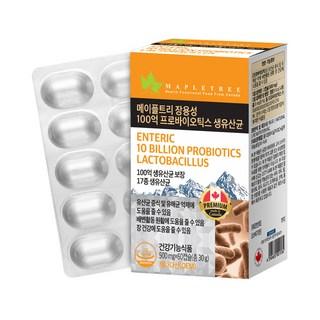 메이플트리 장용성 100억 프로바이오틱스 생유산균 500mg, 30정, 4개 상품 이미지