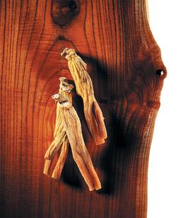 心身 피로 풀어주고, 암환자 면역력 높이고... 입증된 효능, '명불허전' 홍삼