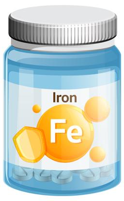 폴란드 청소년 가임기 여성의 헴철 및 비헴철 섭취량과 철분 공급원에 대한 분석