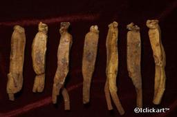 만병통치약으로 알려진 홍삼의 오해와 진실