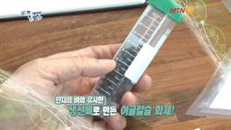 고함량 칼슘, 인 함유 어골칼슘 흡수율 높아 저함량도 충분