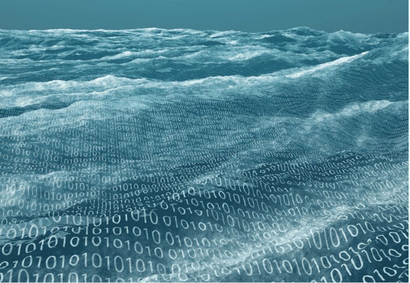 정보의 홍수 속 지친 당신, 어떤 비타민 C를 먹어야 하나 고민 중이라면! 칼럼 썸네일 이미지