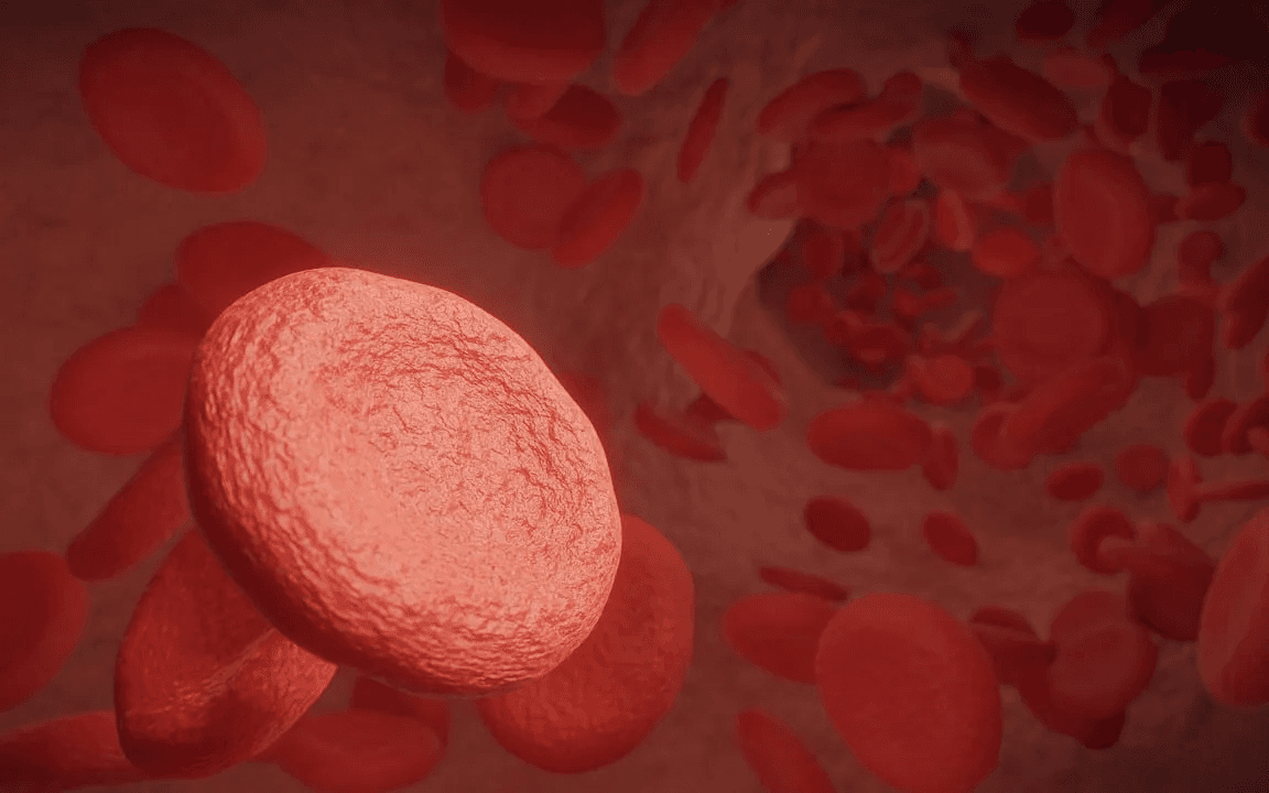 항산화 작용의 대표 비타민, 비타민 E의 모든 것! 칼럼 썸네일 이미지