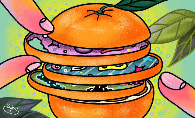 곽철이의 비타민C 평가기준