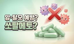 암 예방, 탈모에 쏘팔메토? 약사는 그렇게 말하지 않습니다