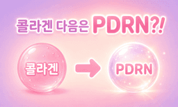 인체 DNA와 97% 같은 연어 성분, 콜라겐 다음은 PDRN입니다